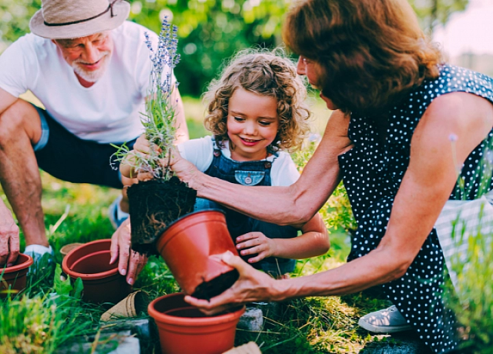 10 astuces pour jardiner à la maison
