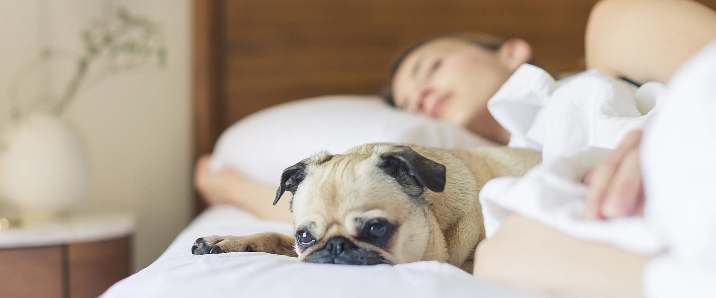Les 5 principaux symptômes de l’apnée du sommeil