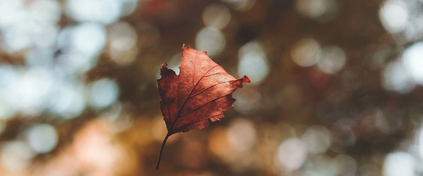 5 conseils pour éviter de se blesser durant le grand ménage d’automne