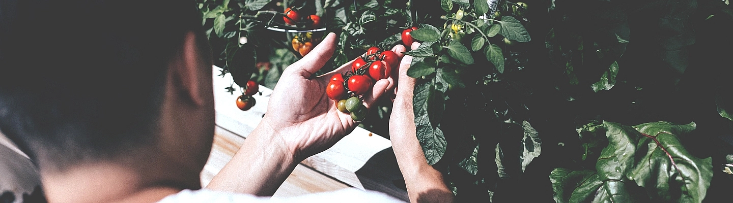 5 trucs pour éviter les blessures de jardinage