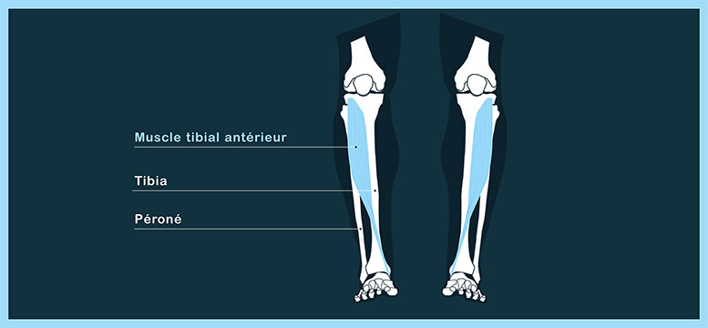 Course A Pied Vaincre La Periostite Tibiale Equilibre