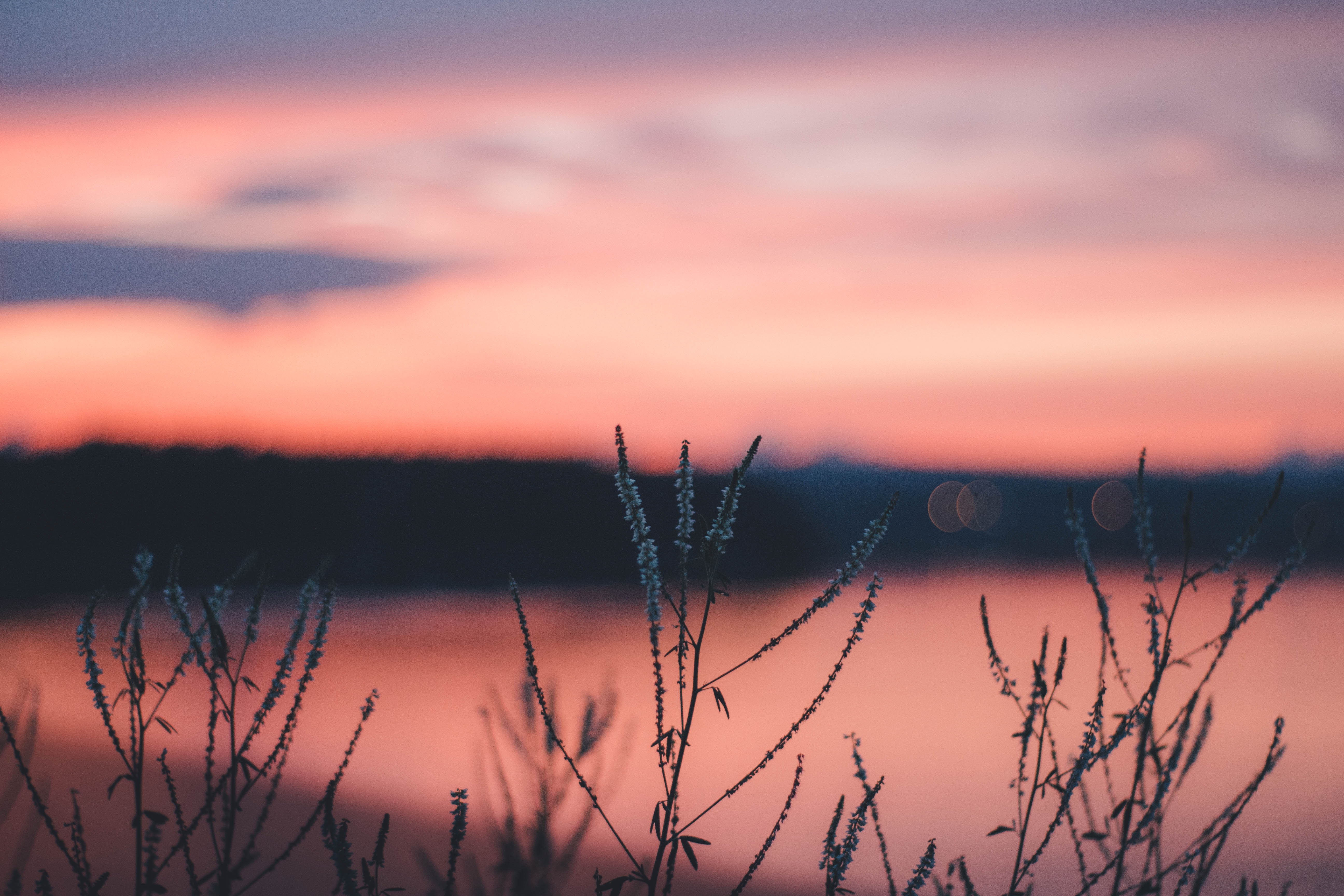 Paysage lac et couchée de soleil