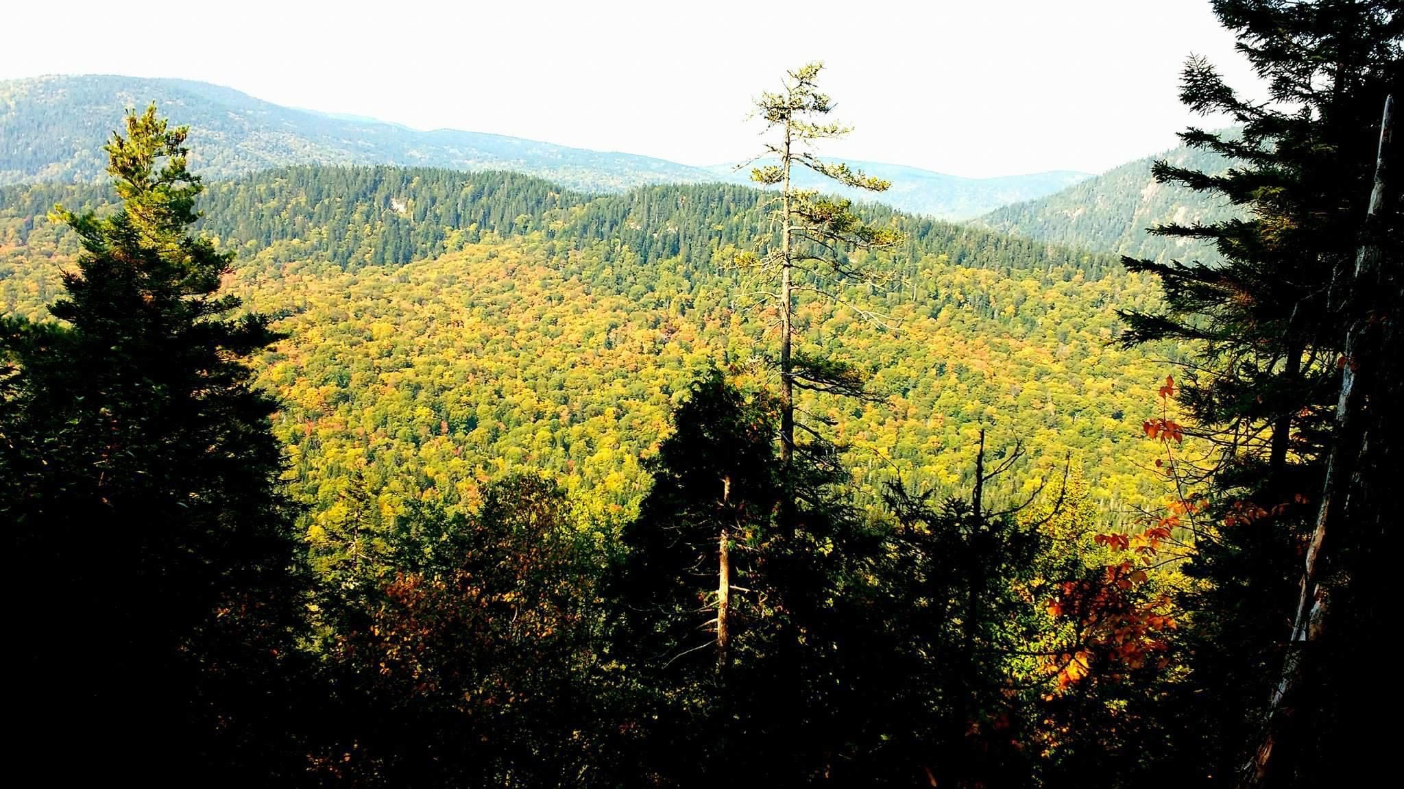 Parc national de la Jacques-Cartier